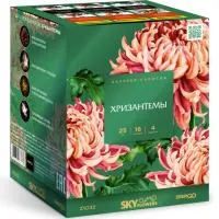 Фейерверк Хризантемы. Купить Фейерверк Хризантемы Z1032 — магазин продажа салютов недорого —  Орехово-Зуево, производитель Русский фейерверк - Русская пиротехника, доставка по России  +7 963 711 89 03 — Орехово-Зуево | orekhovo-zuevo.piroclub.ru