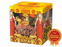 Фейерверк Красивая жизнь РС9640 купить от производителя Русская Пиротехника — Орехово-Зуево