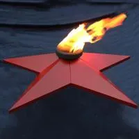 Звезда (газовая горелка) (197122) монтаж комплект горелка ГВД 379 10 89 00 ПС - ø 1100 мм. ветроустойчивая  в Орехово-Зуево