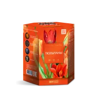 Фейерверк Тюльпаны 19. Купить Фейерверк Тюльпаны 19 Z1050 — магазин продажа салютов недорого —  Орехово-Зуево, производитель Русский фейерверк - Русская пиротехника, доставка по России  +7 963 711 89 03 — Орехово-Зуево | orekhovo-zuevo.piroclub.ru